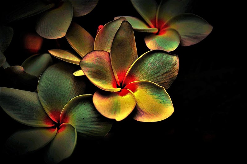 Paradoxes Image